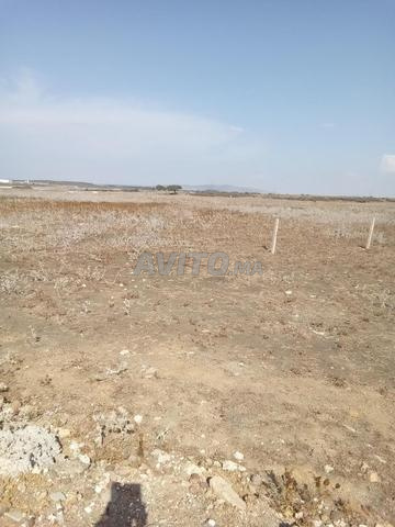 Terrain à vendre Houara route d'Assilah 6000 m² - 2