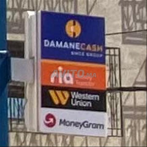damane cash - 2