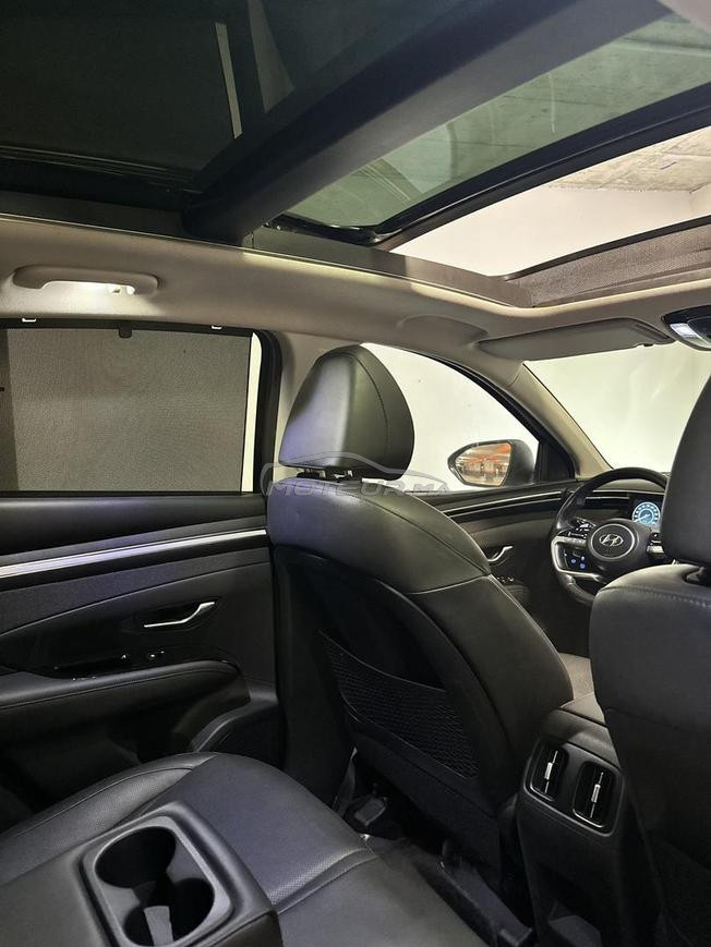 Hyundai Tucson 1er main 