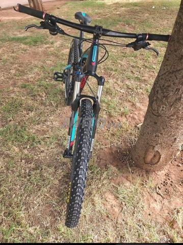 Orbea Occam TR دراجة جبلية - 2