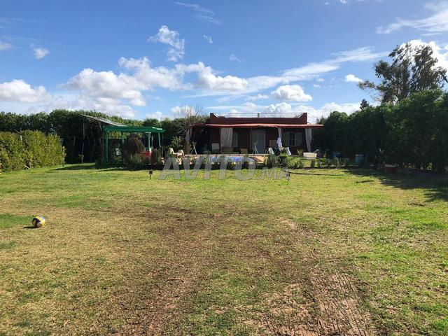 Maison avec belle jardin et piscine