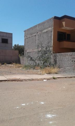 Lot Ennouzha titré