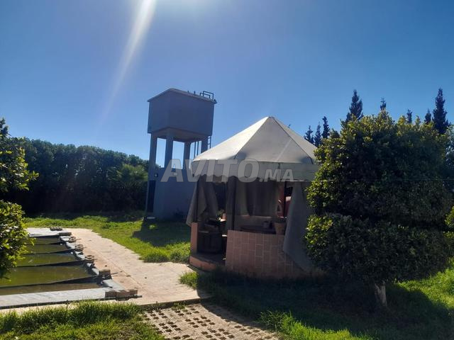 Ferme d'excellente qualité à vendre près de la plage de Lotorte, au sud de Settat - 2