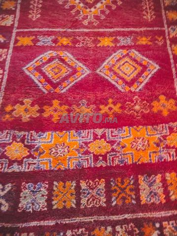 Tapis 5m sur 2m
