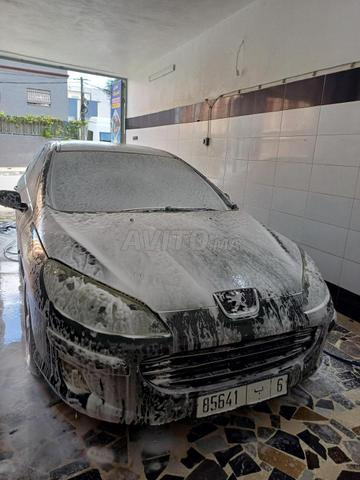 Peugeot 407 - 2