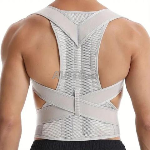 Ceinture Dos - 2