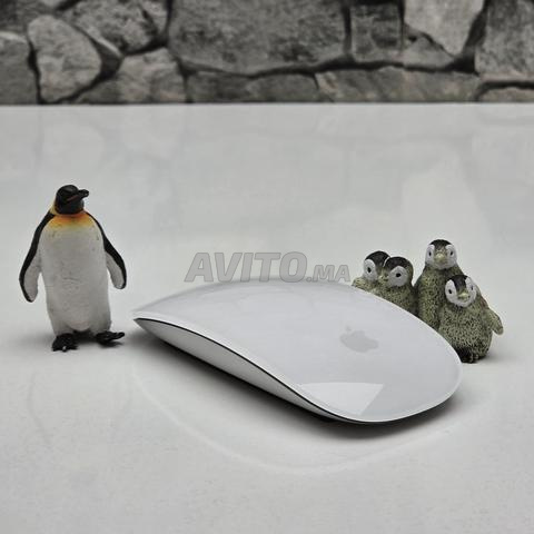 Apple Magic Mouse 2 Sans Fil Rechargeable