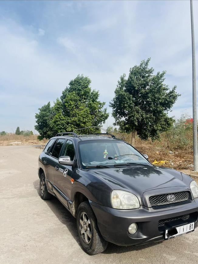 Hyundia Santa Fe 