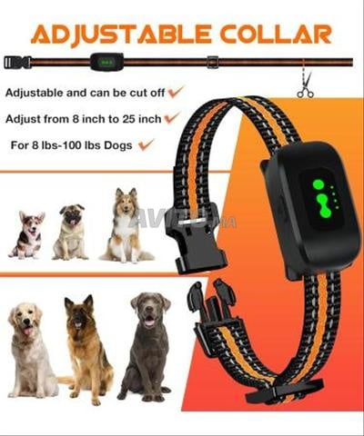 Collier de Dressage pour Chien avec Télécommande - 2