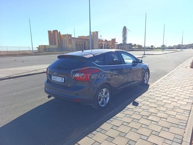 focus Sport ST 