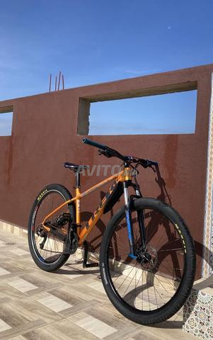 TREK MARLIN 5 مقاس 29 بوصة 2023 - 2