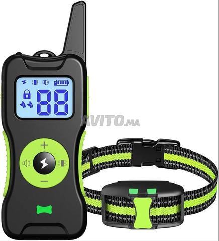 collier de dressage pour chien - 2