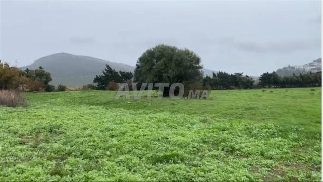 قطعة أرض استثنائية في أشاكار، طنجة - 2