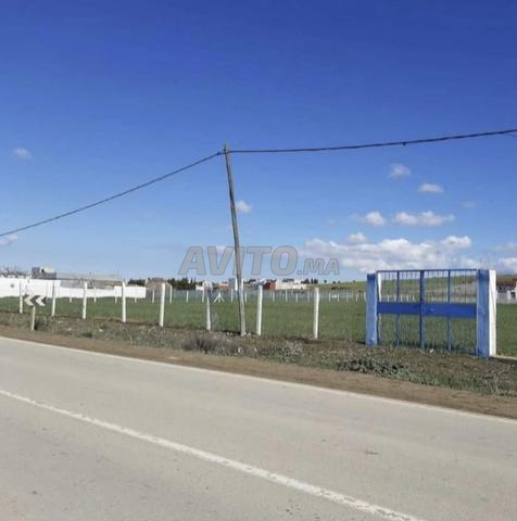 Excellente opportunité à Khmis Anjra - Terrain à vendre