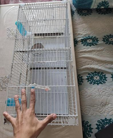 Cage à oiseaux en bon état - 2
