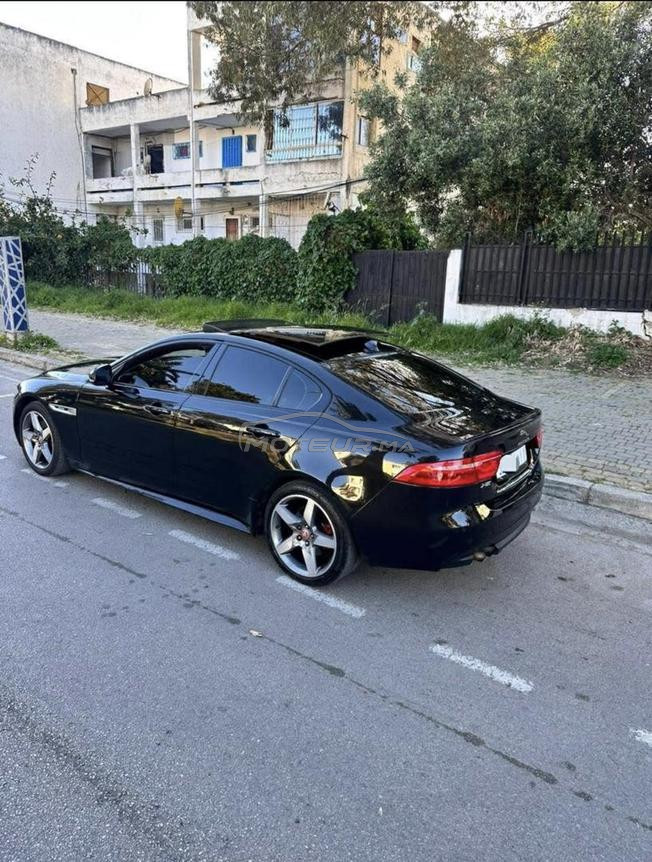 jaguar XE R SPORT 2016