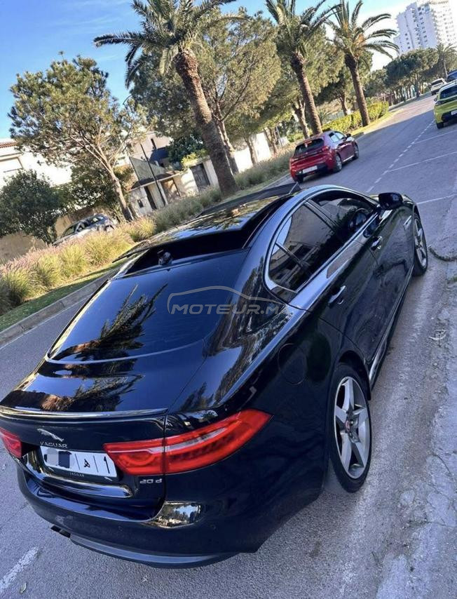 jaguar XE R SPORT 2016