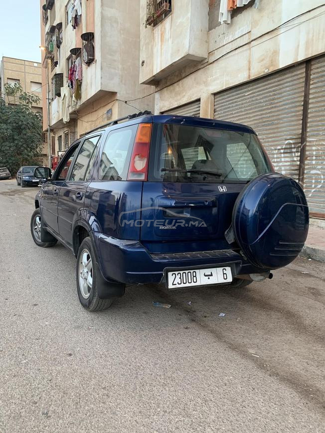 المحمدي شلالت