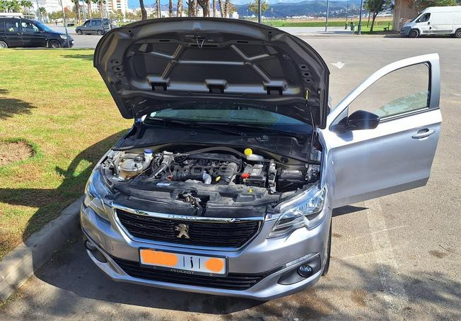 peugeot 301