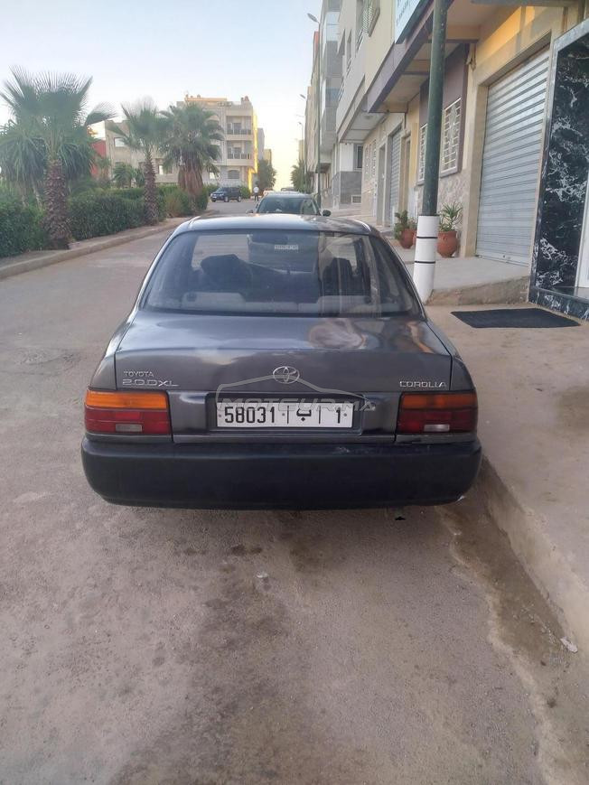 Toyota corolla mliha
