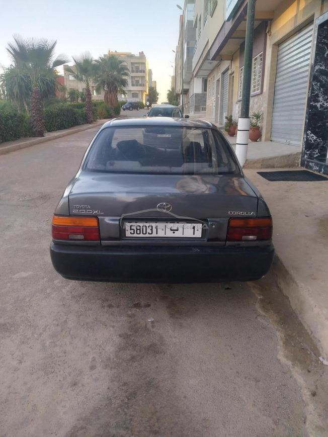 Toyota corolla mliha