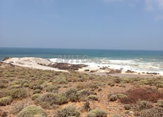 Terrain 7 hectares au bord de la mère atlantique