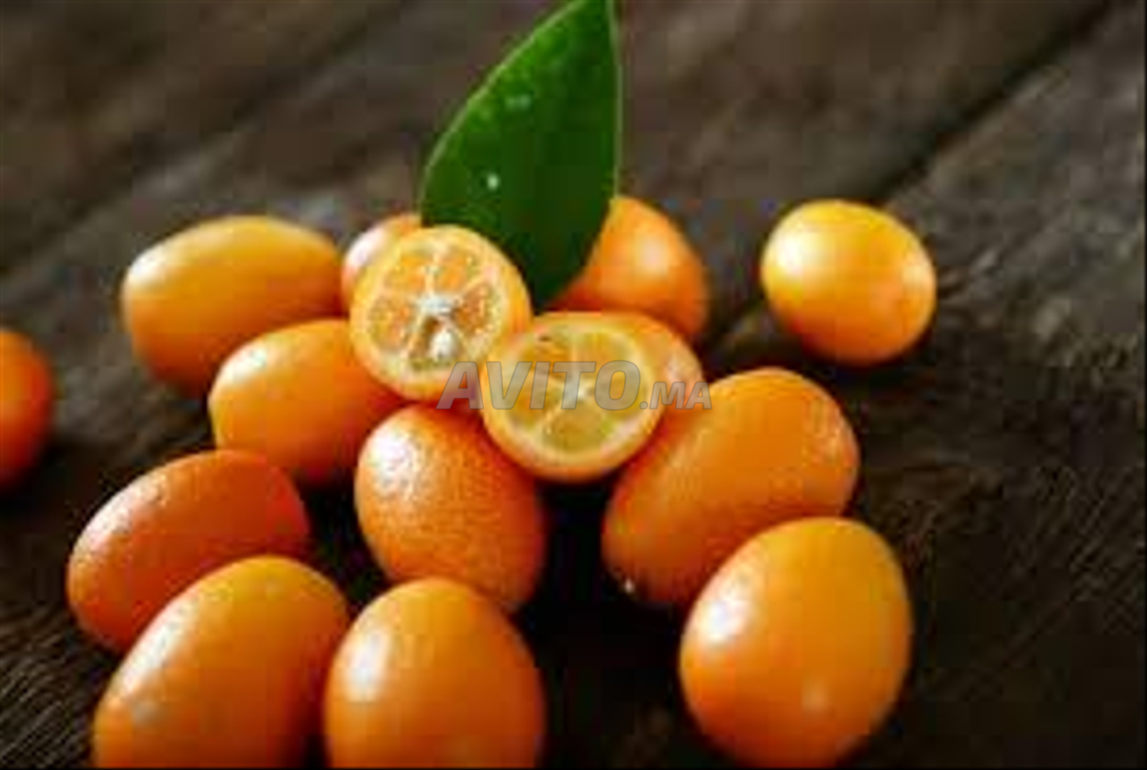 برتقال ياباني