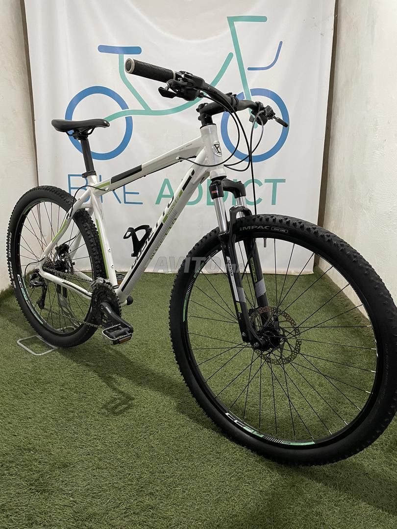 VTT BUSETTO GRANDE 29 | دراجات ب الدار البيضاء | Avito.ma -- 47016468 | AUTO