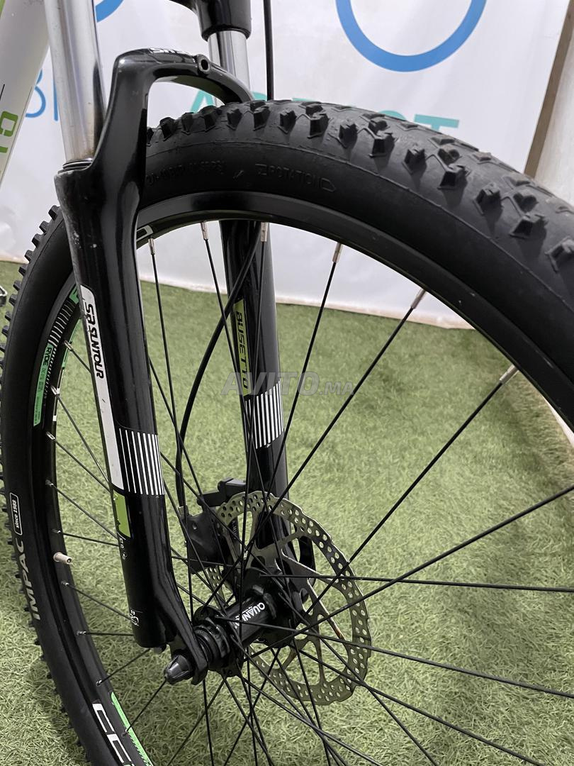 VTT BUSETTO GRANDE 29 | دراجات ب الدار البيضاء | Avito.ma -- 47016468 | AUTO