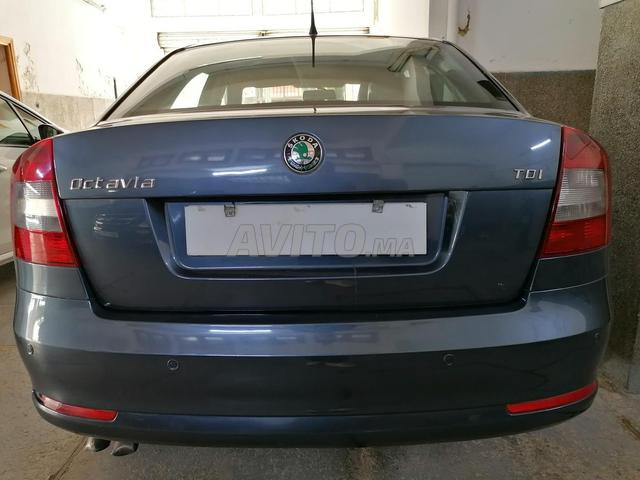 Avito skoda octavia
