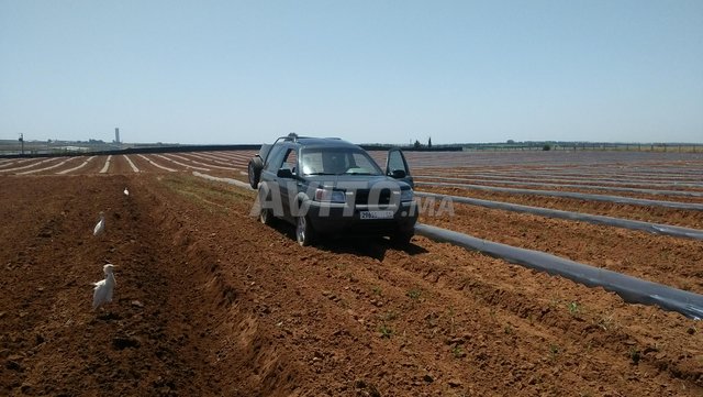 Voiture Land rover Freelander 1999 à larache Diesel - 8 chevaux