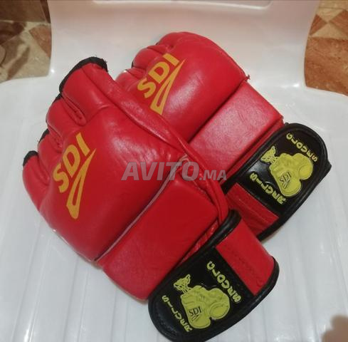 gant de boxe sdi