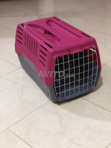 Cage Pour Chat Animaux A Agadir Avito Ma