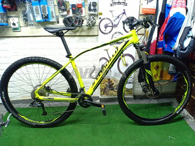 vtt specialized rockhopper expert 29