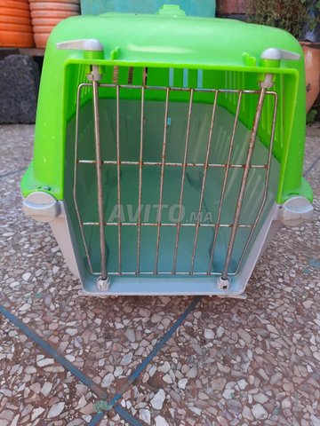 Cage De Transport Et Maison De Chat Animaux A Temara Avito Ma