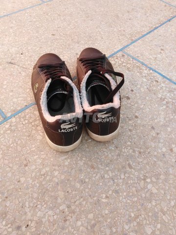 lacoste timberland