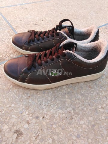 timberland lacoste