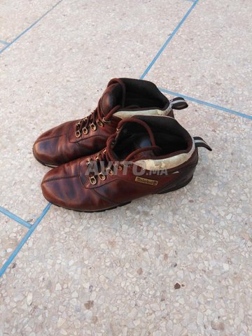 timberland lacoste