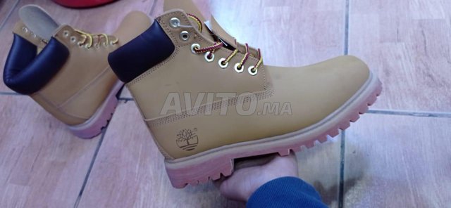 timberland collection 2020