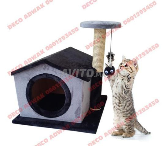 Maison Griffoir Chat Animaux A Meknes Avito Ma