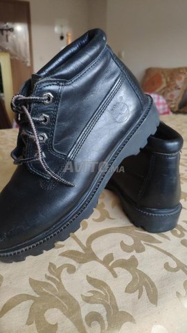 origine timberland