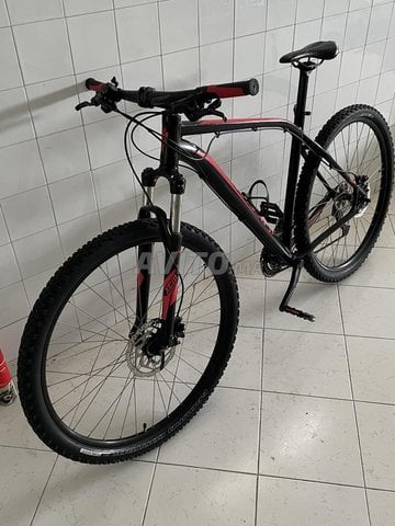 specialized rockhopper comp 29 l