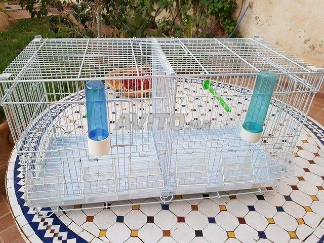 3 cage séparation zolux - 1