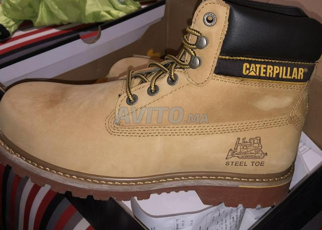 pointure caterpillar