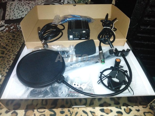 Setup Microphone BM-800 avec Phantom power 48V - 2