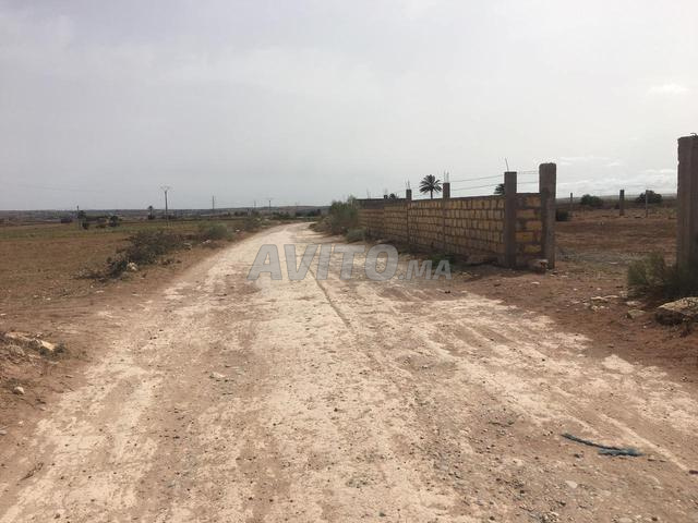 Terrains et Fermes à Sidi Ali Ben Hamdouche à_vendre Avito IMMO