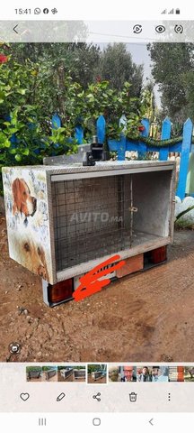 Cage de transport pour votre #chien ou #chat 🐶🐱 prix Maroc