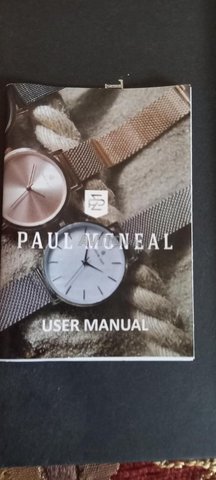 Paul best sale mcneal montre