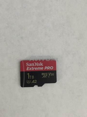 Carte mémoire SDXC™ UHS-I SanDisk Extreme PRO 256 Go (SDSDXXD-256G-GN4IN)  prix Maroc