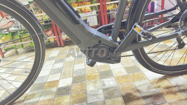 Velo discount electrique pegasus